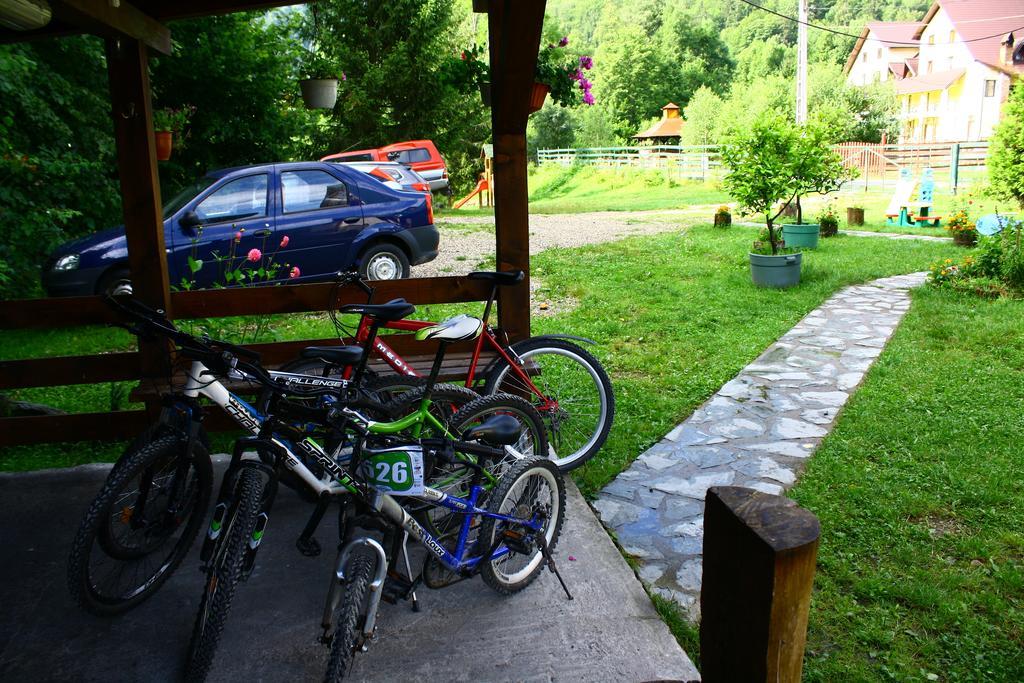 Hotel Vila Sucu Poiana Mărului Exteriér fotografie