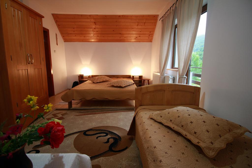 Hotel Vila Sucu Poiana Mărului Pokoj fotografie